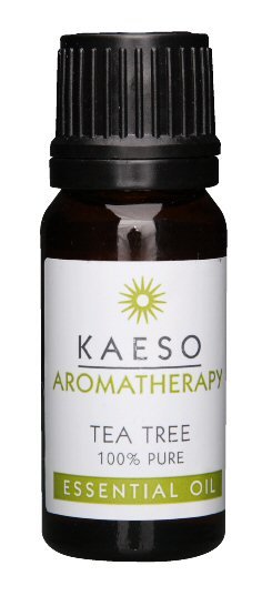 Kaeso Tea Tree 10ml - Essential Oils - SalonExpress