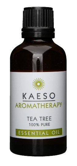 Kaeso Tea Tree 50ml - Essential Oils - SalonExpress