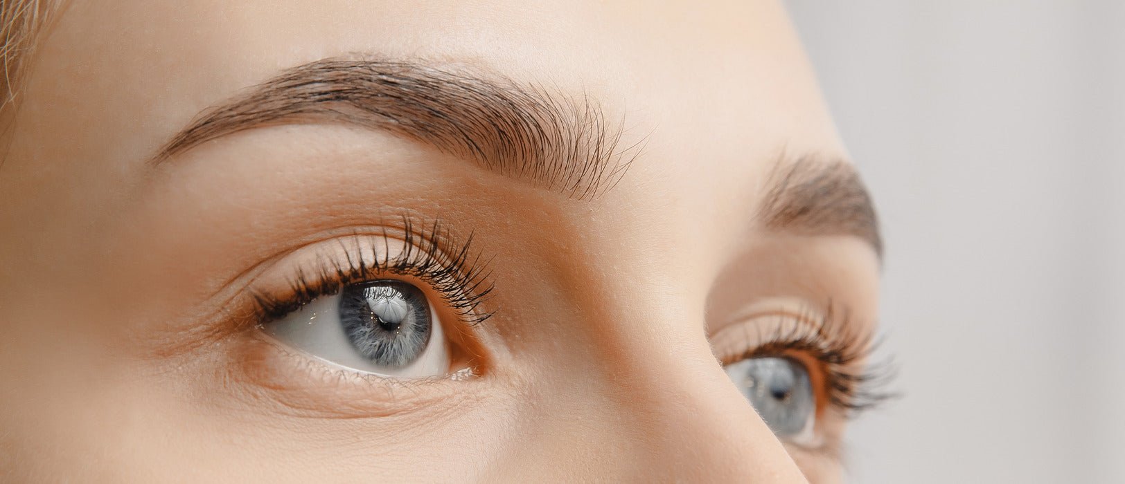 Eye Lash & Brow Tinting - SalonExpress