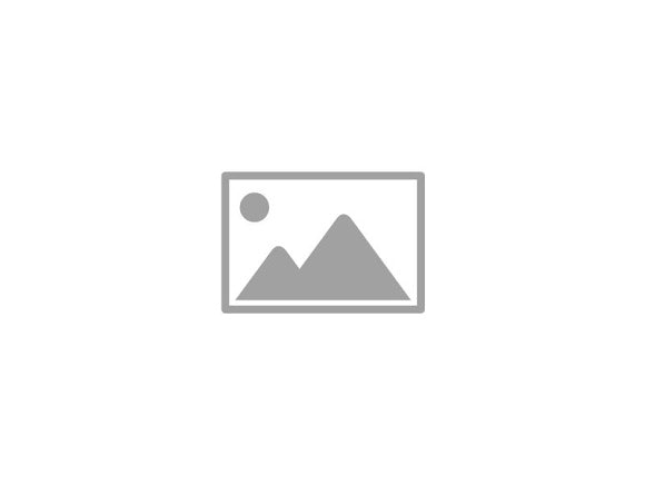 CBS Pointed Pro tweezer (Step) - SalonExpress