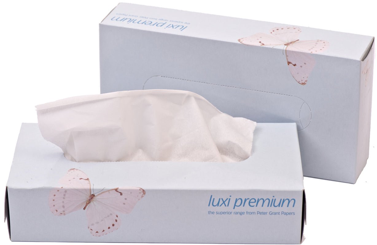 Professional Tissues (White) Case of 36 Boxes - Cotton Wool, Tissues & Gauze - SalonExpress